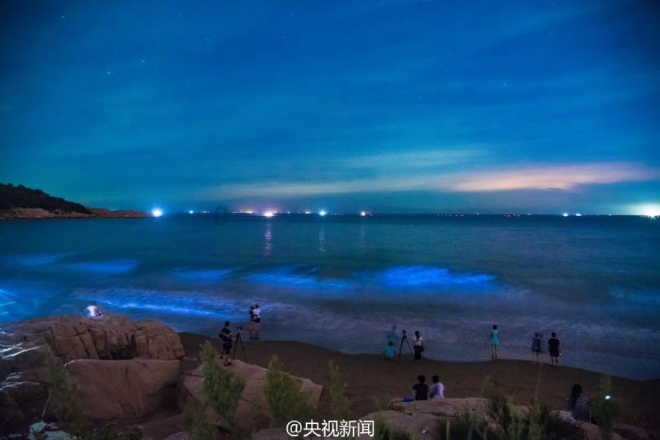 强者恒强:东鹏特饮500ml瓶装首次进入尼尔森全国饮料单品排名TOP3